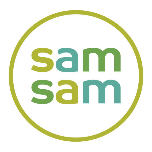 SamSam - Home Assistant